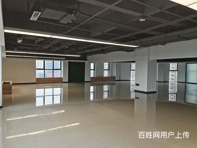地铁口100米 沈阳国际软件园甲方直租 沈阳浑南写字间 - 图片 6