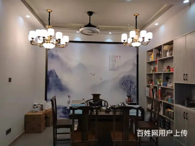 （老板本人）捡漏啦！白菜价精装修灯具建材店亏本急转 - 图片 3