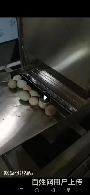 时产量两万枚的全自动变蛋机 - 图片