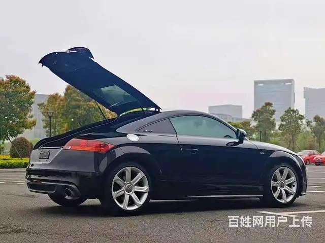 奥迪TT(进口) 2013款 TT Coupe 2.0T 双 - 图片 3