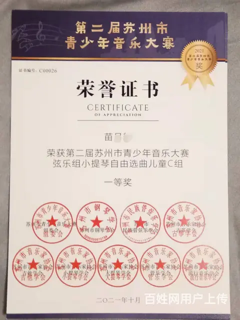 小提琴倪老师招生 - 图片 5
