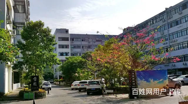 （房东租）南屏小面积写字楼65平交通方便采光好 - 图片 5