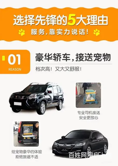 常州宠物托运公司，选择优速宠物托运 - 图片 5