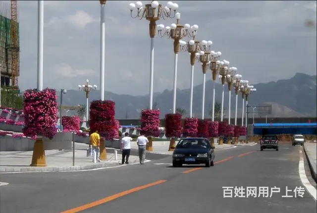 沈阳灯杆景观种植花盆圆顶柱子抱盆立体绿化容器厂家 - 图片 8
