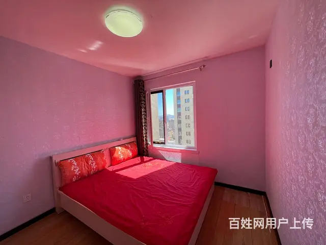 出租金科蓝湾二期24楼80平2室精装修 - 图片 6