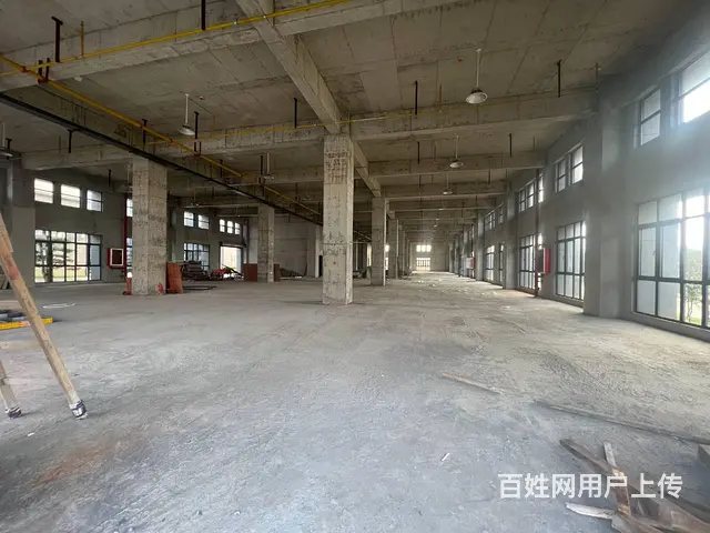 自有全新园区招租 单层独栋 多面积段 业态不限 欢迎咨询看房 - 图片 1