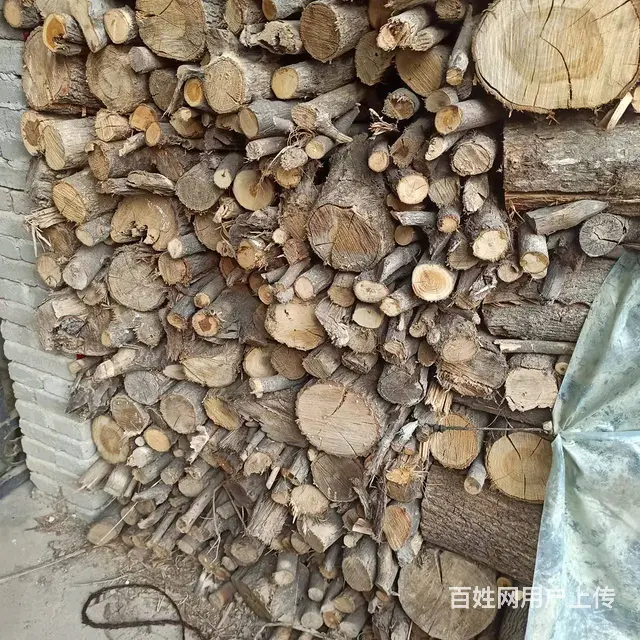 麻栎树青冈木劈柴，壁炉烤火炉的  ，让你冬天不寒冷 - 图片 6