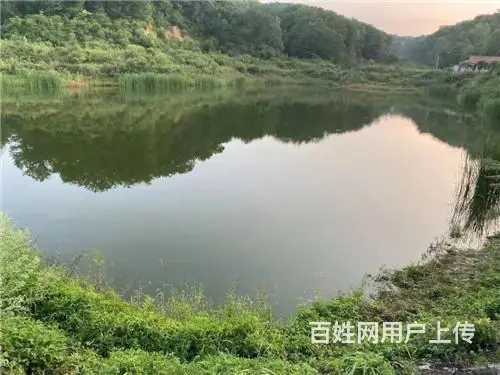 丰满旺起山庄水库出租出售，丰满坝上土地出售 - 图片 2