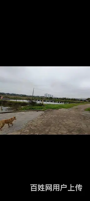 长沙县松雅湖厂房仓库出租 - 图片 4