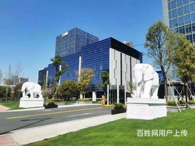 (出租)阿里网易旁，滨江小独栋，环境优美，高端大气上档次适合 - 图片 11