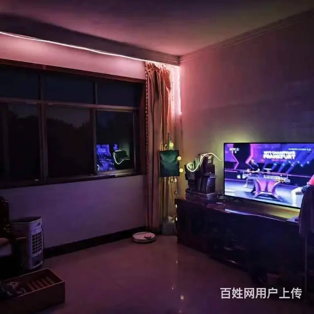 桃花岭小区 普通住宅2厅 精装修 - 图片 1