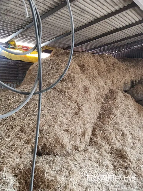 风火轮粉草机 - 图片 2