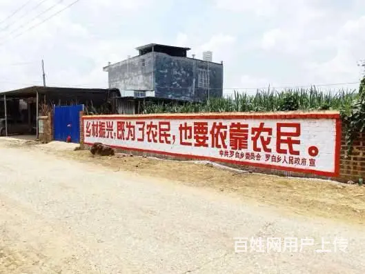 邳州乡镇墙体广告,学校喷绘墙体,墙体标语广告 - 图片 4