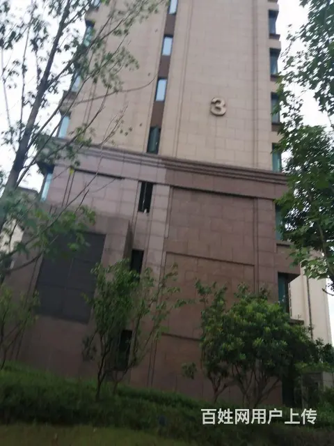 可短租月付 中建光谷之星 国采 中建三局 大悦城 - 图片 12