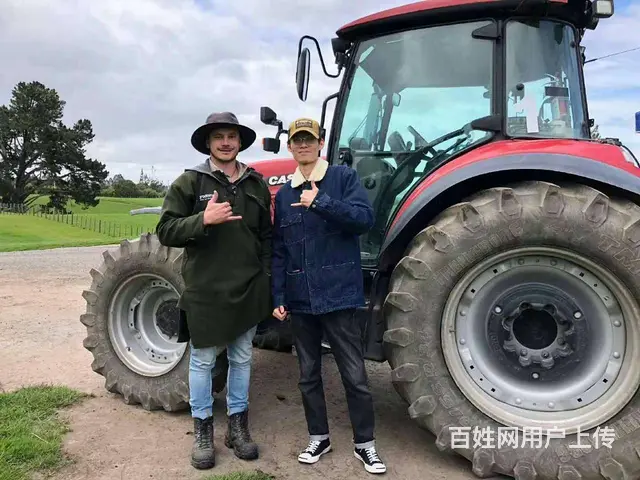 澳大利亚新西兰保签年薪60万正规劳务派遣靠谱 - 图片 2