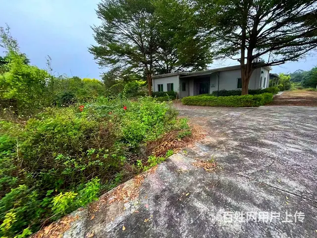 从化区鳌头镇有180亩平地绿化场苗圃场整体转让 - 图片 10
