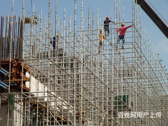出国打工-新西兰农场工，月薪3万起，雇主保签 - 图片 4