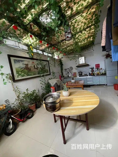 马路街东 电子仪表厂 精装两室一层带院 没有土地出让金 - 图片 7