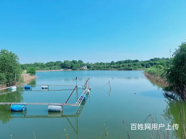 （老板本人）黄花镇长龙街道独门独院房屋厂房农家乐招租6844 - 图片 8