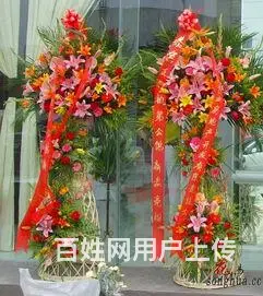 开业庆典绿植，开业花篮合肥市区免费送货上门 - 图片