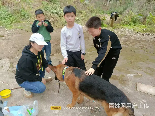 不离不弃 - 图片 2