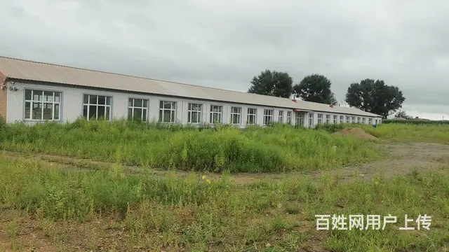 有个两万多平的土地还有700平的房子 - 图片 1