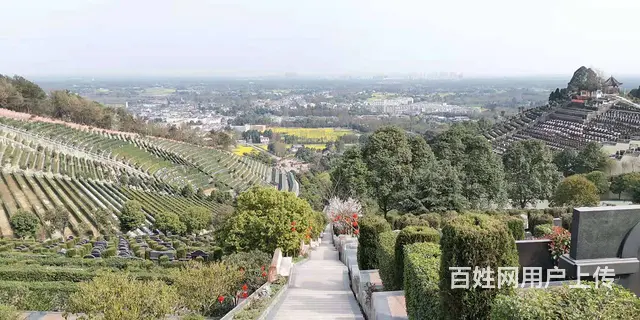 二手集装箱，海运集装箱出售，全部批发价出售 - 图片 3