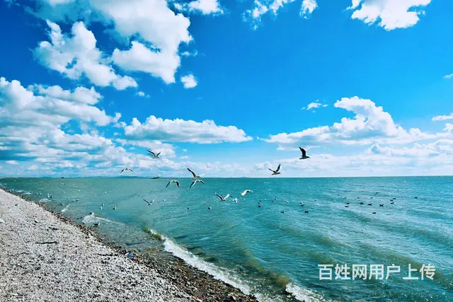 呼伦贝尔满洲里旅游包车康师傅 - 图片 3