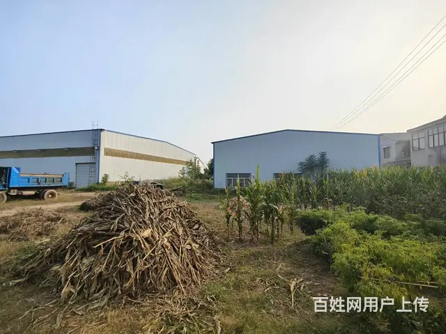（徐州找店网）张集五环路边厂房和门面办公楼出租 - 图片 8