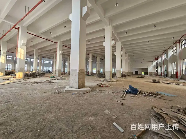支塘独栋全新1至3楼每层6000平，高12米，可架20吨行车 - 图片 11