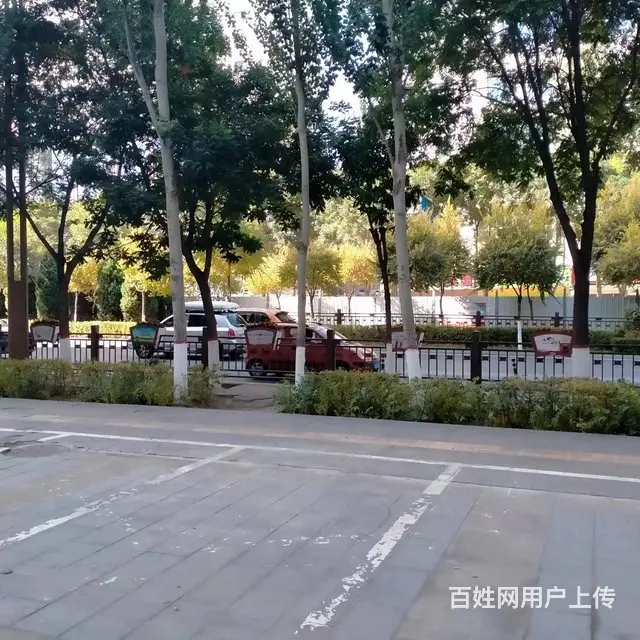 BP 个人 洁希亚干洗店对外转让  ​ - 图片 10