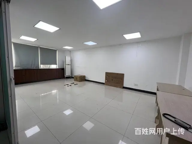 （51旺铺推荐）海垦路254平空铺出租 - 图片 4