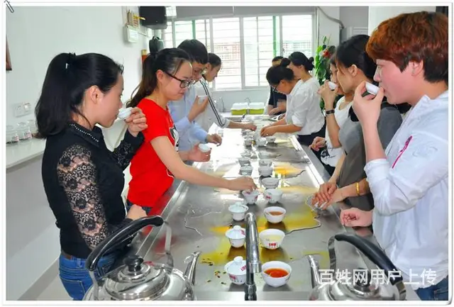 在哪里可以学专业的茶艺师培训 天晟茶艺培训学校 - 图片 4
