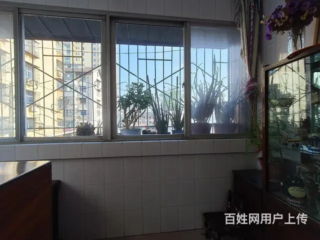 焦东路小学十七中 解放路 艺新菜市场附近 轮四家属 - 图片 8