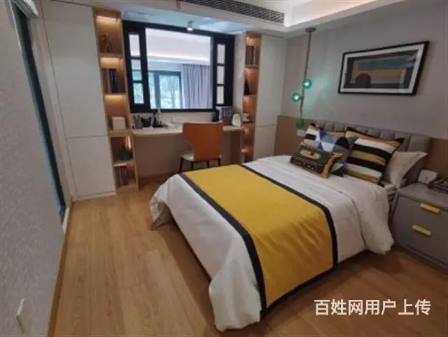 淹城对面新出复式公寓南北通透民用水电送大阳台准现房 - 图片 7