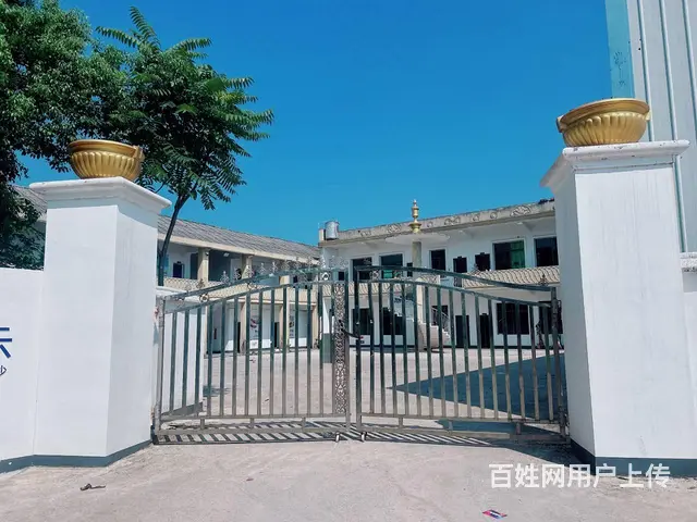 （老板本人）长沙县江背镇独门独院厂房/仓库低价出租，全新装修 - 图片 12