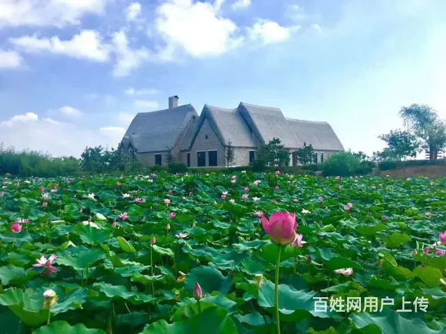 海世界 精装修一线海景房，赶海拾贝养老投资 - 图片 4
