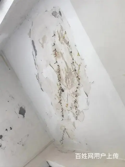 烟台专业做防水补漏 烟台屋顶漏雨维修多年防水经验 - 图片 5