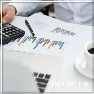 沈阳会计代帐--沈阳地区专业的代帐会计 - 图片