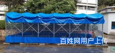 大型推拉雨棚仓库棚伸缩蓬篮球棚收缩帐篷移动遮阳棚活 - 图片 3