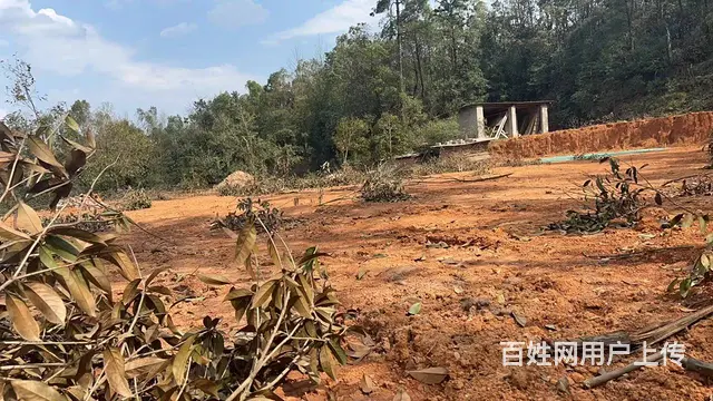 A（个人）岳麓含浦1500平空坪出租编号1055 - 图片 3