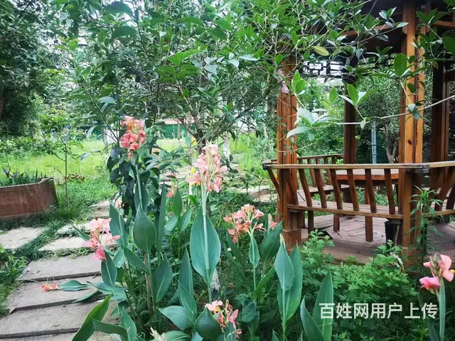 精选）大马路边农家乐出租或者出售 - 图片 2