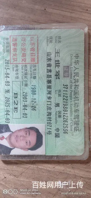 B2驾驶证，有正规的上岗证 - 图片