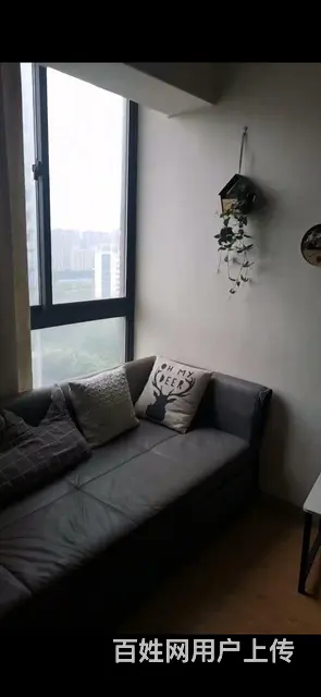 住房出租 - 图片 1