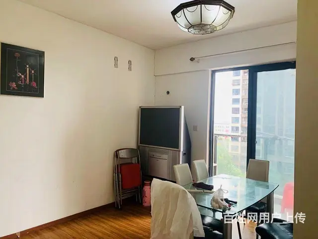 出租中城.花园虹梅苑精品 便宜 只此一套 - 图片 8