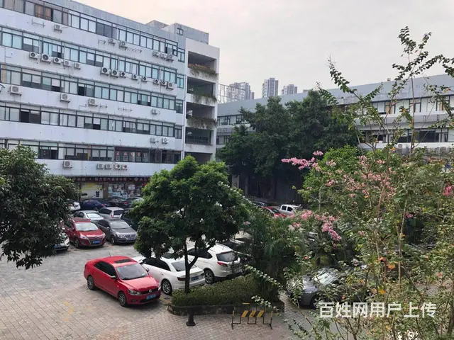 直租！带简装536平南屏写字楼 紧邻华发商都享政府补贴 - 图片 4