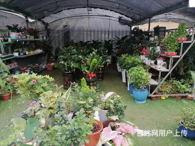 （51旺铺推荐）振发路白驹学校南门50平两间场地出租 - 图片 4