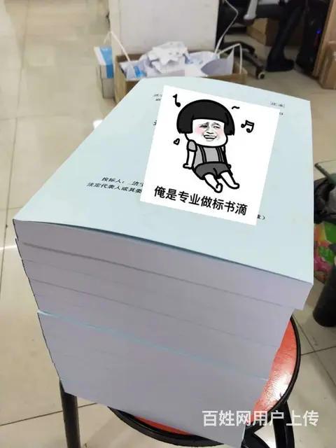 泰安标书制作【排版精美，合理扣题】 - 图片 5