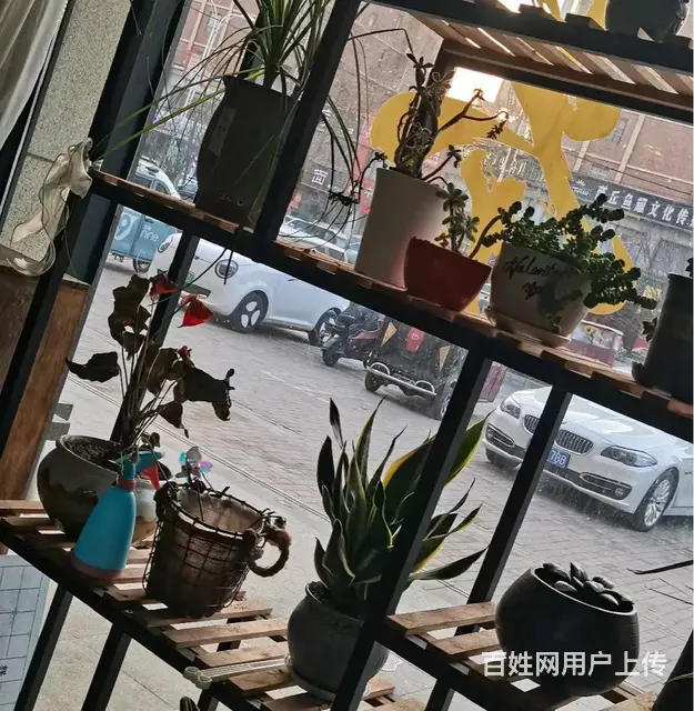0170宁陵鑫和美林郡西门一精美茶室整体转让 - 图片 3