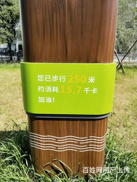 新城荣盛·天翌洋房和高层余房在售 - 图片 6